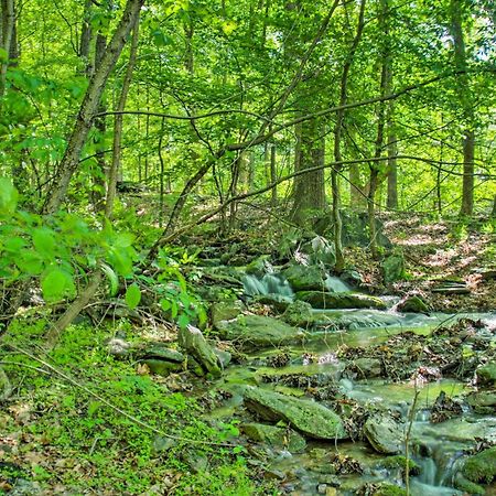 Renovated Studio On 5 Acres - Near Vineyards! Crozet Екстериор снимка